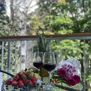 New With Balcony 11 Wiedeń